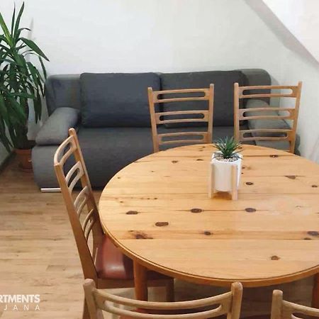 Huge Bbq Garden 2, Spacious Flat, Ac, Free Parking 2 Ljubljana Eksteriør billede