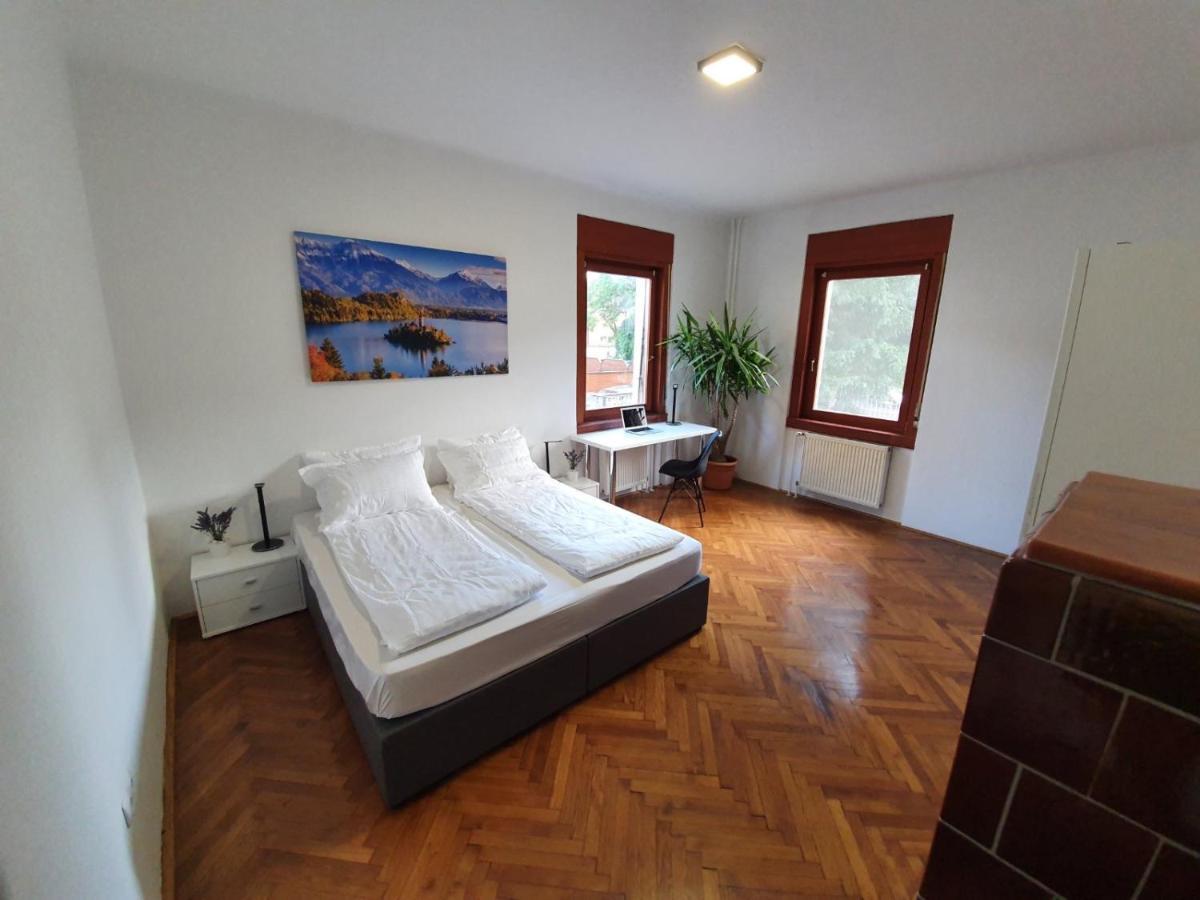 Huge Bbq Garden 2, Spacious Flat, Ac, Free Parking 2 Ljubljana Eksteriør billede