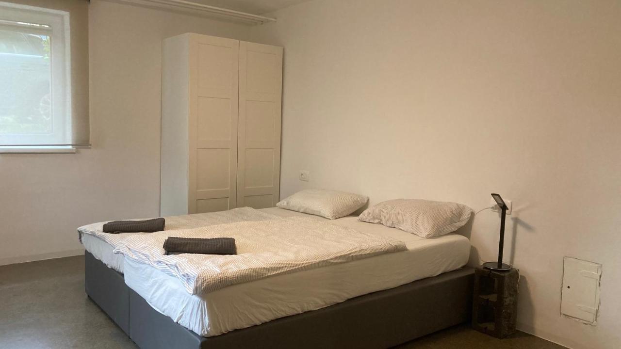 Huge Bbq Garden 2, Spacious Flat, Ac, Free Parking 2 Ljubljana Eksteriør billede