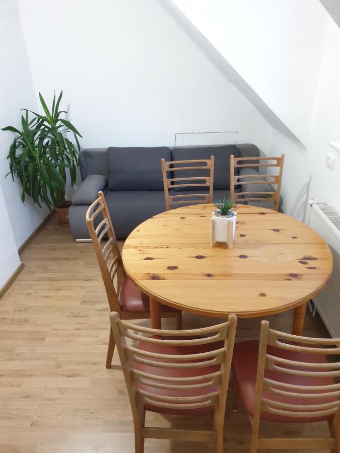 Huge Bbq Garden 2, Spacious Flat, Ac, Free Parking 2 Ljubljana Eksteriør billede