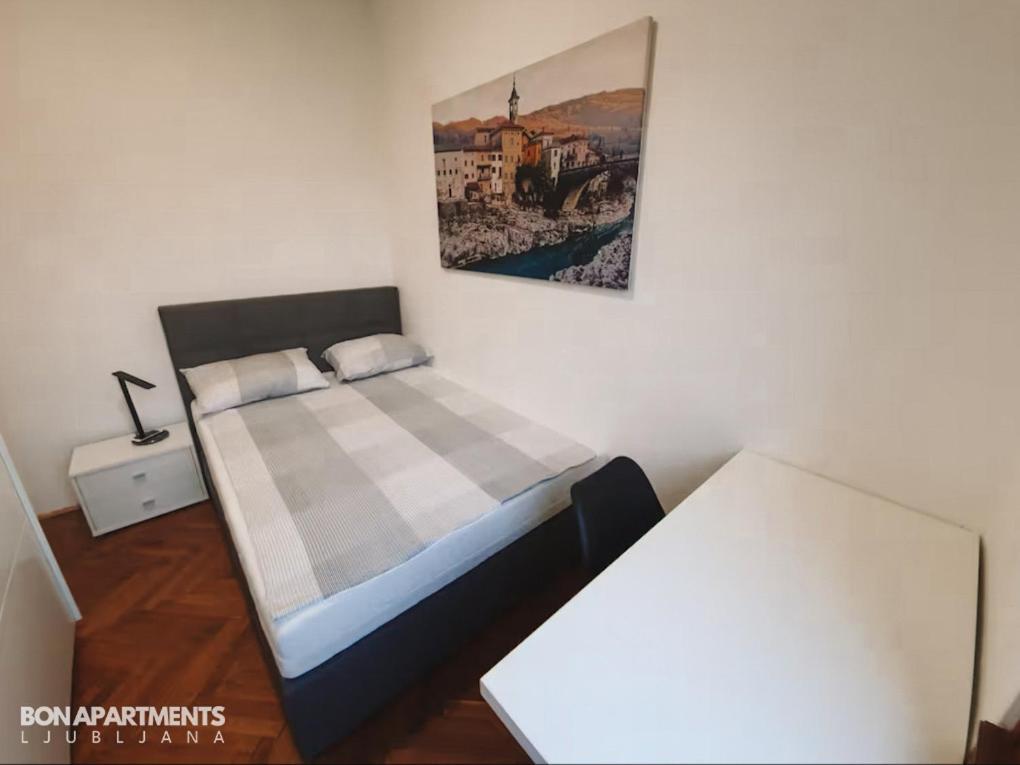Huge Bbq Garden 2, Spacious Flat, Ac, Free Parking 2 Ljubljana Eksteriør billede