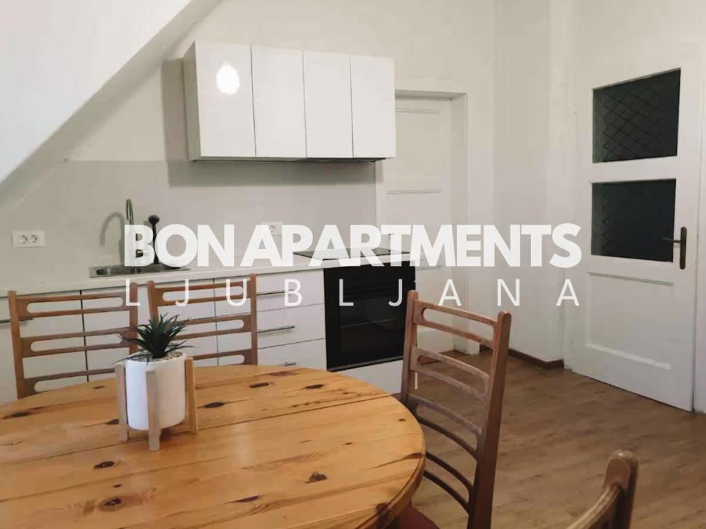 Huge Bbq Garden 2, Spacious Flat, Ac, Free Parking 2 Ljubljana Eksteriør billede